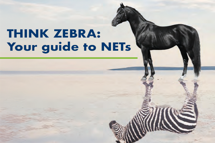 Think Zebra: Your Guide to NETs