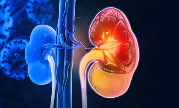 Explore more Renal Cell Carcinoma Events & Meetings